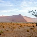 NAM HAR Dune45 2016NOV21 066 : 2016 - African Adventures, Hardap, Namibia, Southern, Africa, Dune 45, 2016, November
